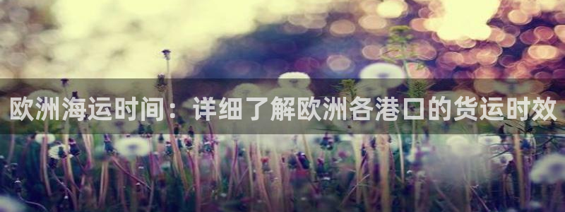 公海赌赌船快速充值