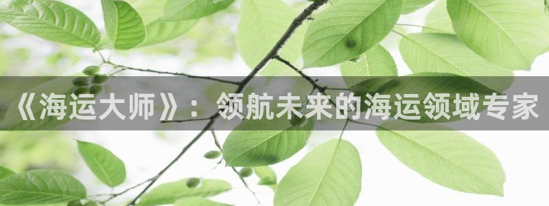 公海赌船赌博