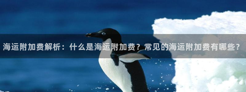 公海赌船官方