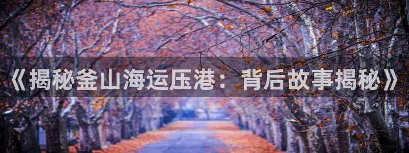 欢迎来到公赌船