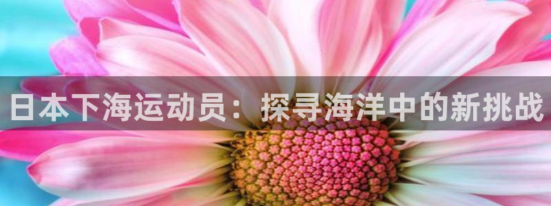 去公海赌博合法吗