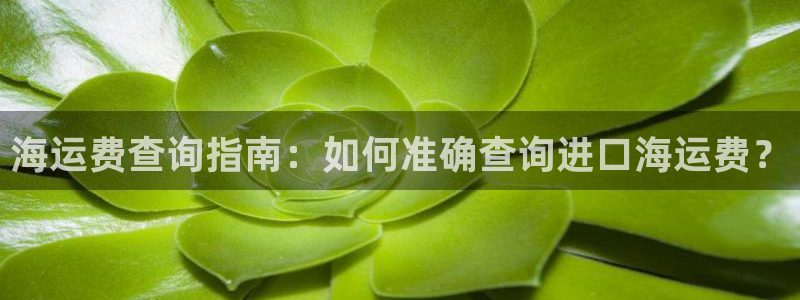 公海赌赌船jcjc710