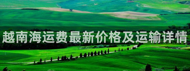 公海赌博怎么处理