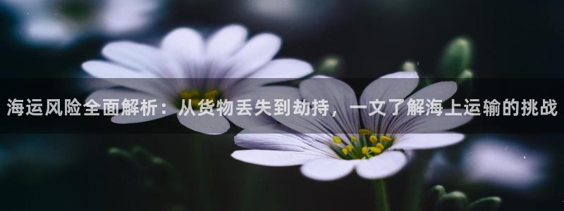 公海赌赌船最新版本更新内容