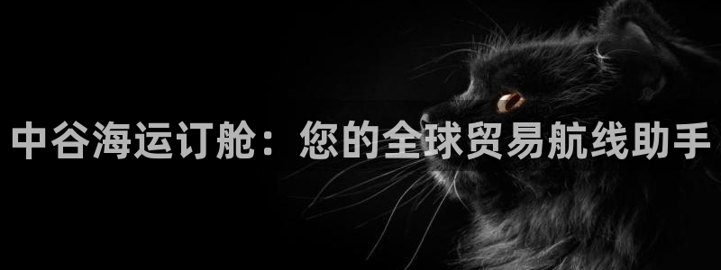 去公海赌博