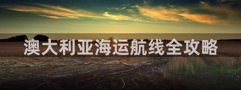公海赌船网页