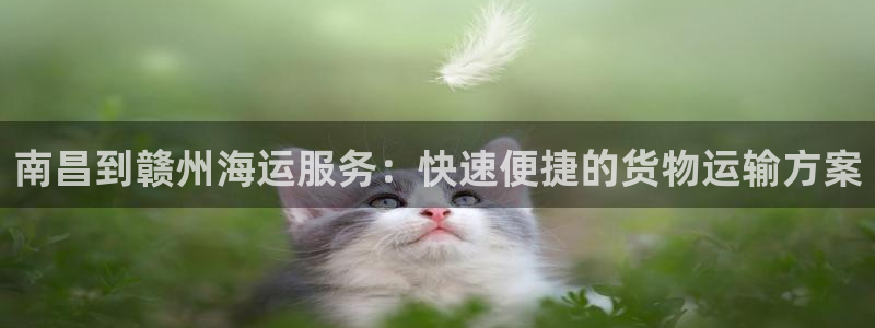 欢迎上船