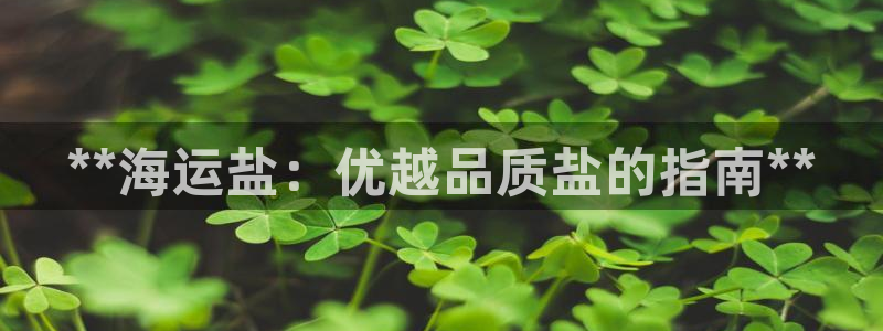 去公海赌博
