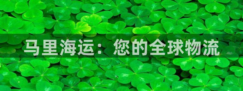 在公海赌博不违法吗