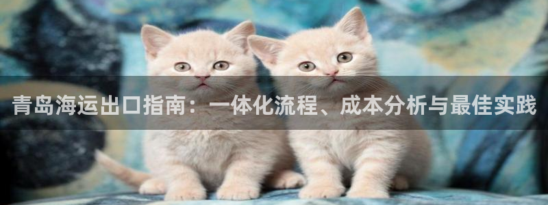 公海赌赌船官网710忘记账号了