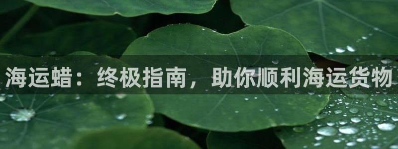 公海赌博为什么不犯法