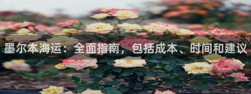 公海赌赌船710检测路线