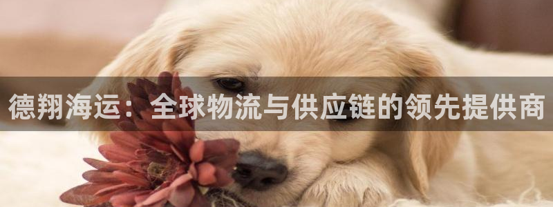 公海赌船官方