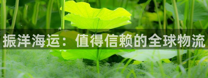 公海赌船网址710