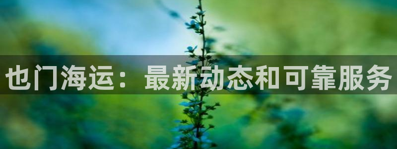 欢迎来到海边