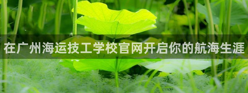 去公海赌博合法吗