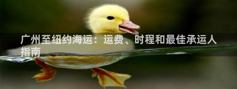 去公海赌博合法吗