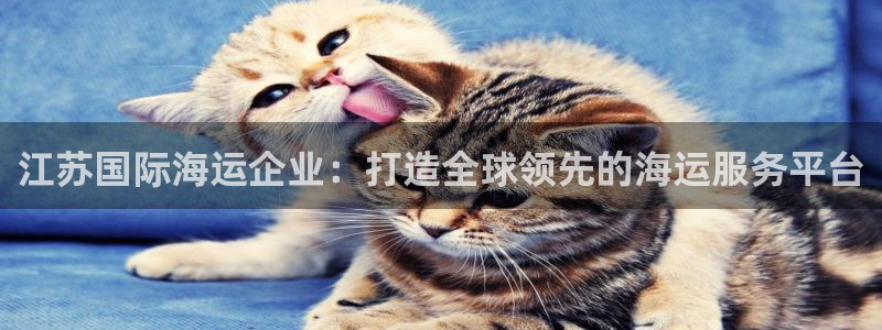 公海赌博为什么不犯法